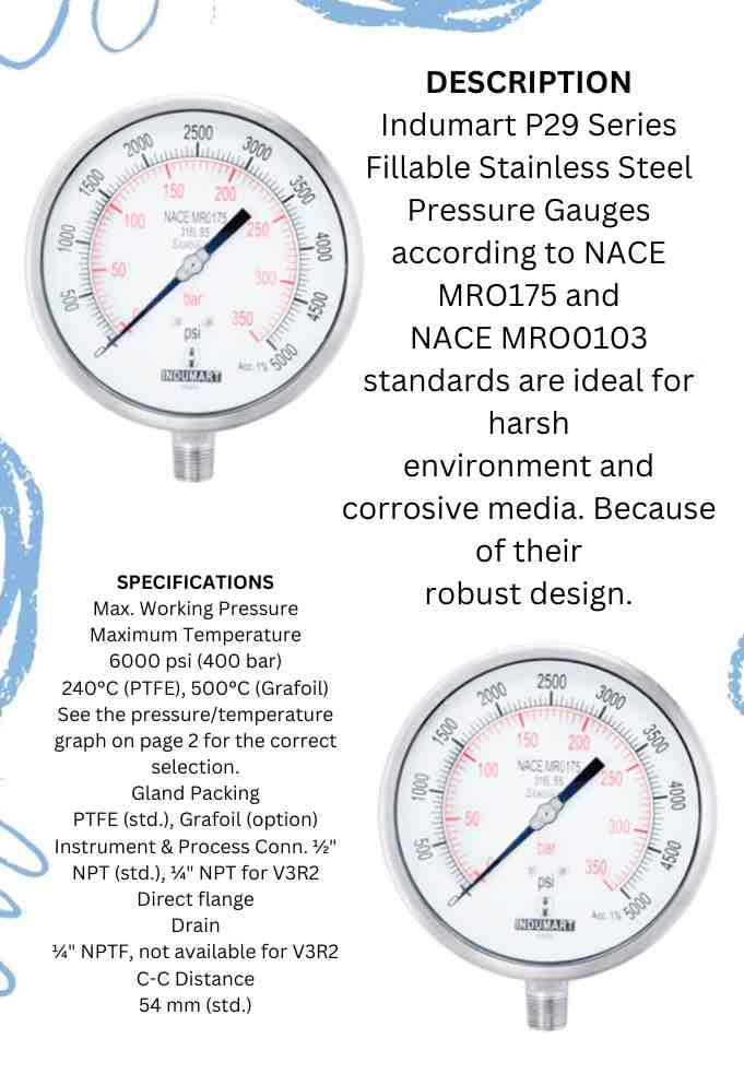 اینفوگرافیک Indumart P29 Steel Pressure Gauge